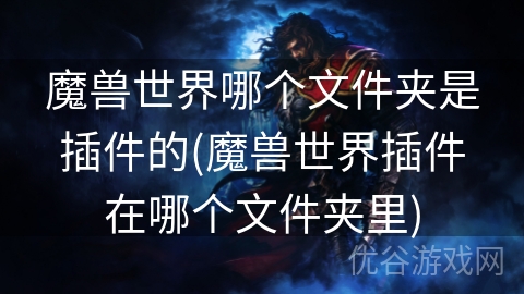 魔兽世界哪个文件夹是插件的(魔兽世界插件在哪个文件夹里)