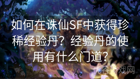 如何在诛仙SF中获得珍稀经验丹？经验丹的使用有什么门道？