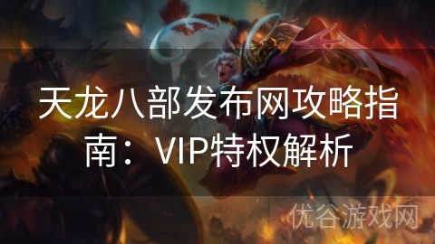 天龙八部发布网攻略指南：VIP特权解析