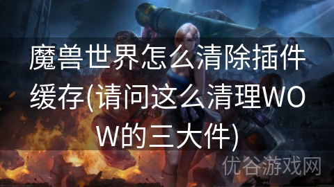 魔兽世界怎么清除插件缓存(请问这么清理WOW的三大件)