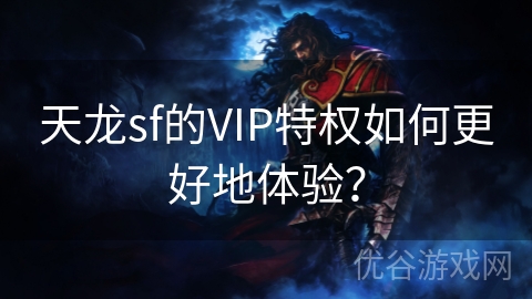 天龙sf的VIP特权如何更好地体验？