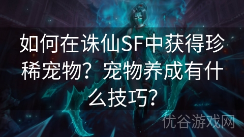 如何在诛仙SF中获得珍稀宠物？宠物养成有什么技巧？