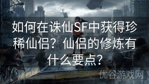 如何在诛仙SF中获得珍稀仙侣？仙侣的修炼有什么要点？