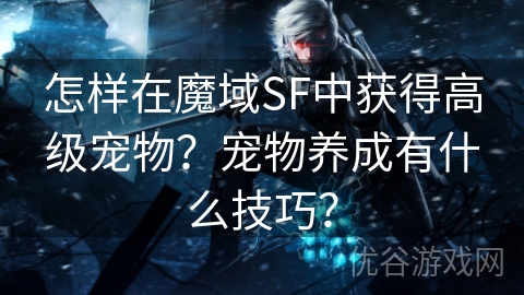 怎样在魔域SF中获得高级宠物？宠物养成有什么技巧？