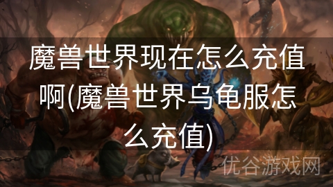 魔兽世界现在怎么充值啊(魔兽世界乌龟服怎么充值)