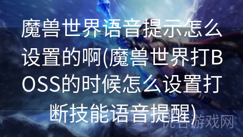 魔兽世界语音提示怎么设置的啊(魔兽世界打BOSS的时候怎么设置打断技能语音提醒)