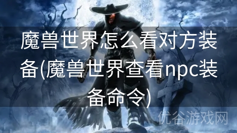 魔兽世界怎么看对方装备(魔兽世界查看npc装备命令)