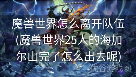 魔兽世界怎么离开队伍(魔兽世界25人的海加尔山完了怎么出去呢)