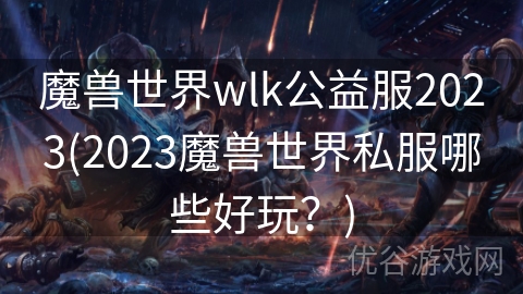 魔兽世界wlk公益服2023(2023魔兽世界私服哪些好玩？)