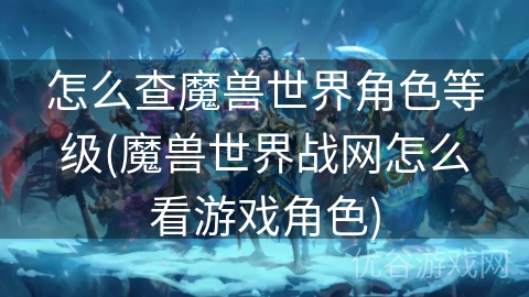 怎么查魔兽世界角色等级(魔兽世界战网怎么看游戏角色)