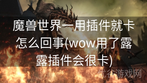 魔兽世界一用插件就卡怎么回事(wow用了露露插件会很卡)