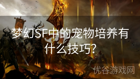 梦幻SF中的宠物培养有什么技巧？