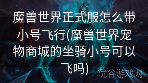 魔兽世界正式服怎么带小号飞行(魔兽世界宠物商城的坐骑小号可以飞吗)