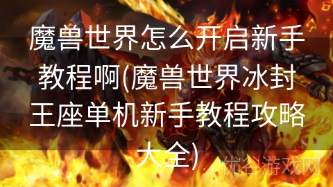 魔兽世界怎么开启新手教程啊(魔兽世界冰封王座单机新手教程攻略大全)