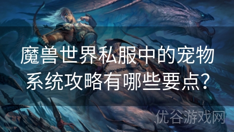 魔兽世界私服中的宠物系统攻略有哪些要点？