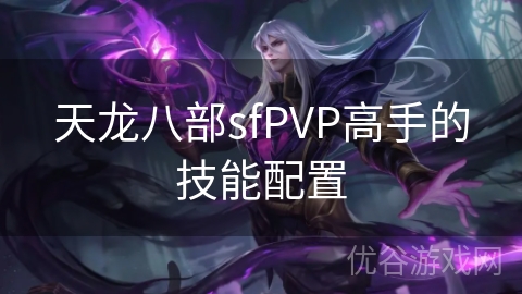 天龙八部sfPVP高手的技能配置