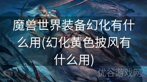 魔兽世界装备幻化有什么用(幻化黄色披风有什么用)