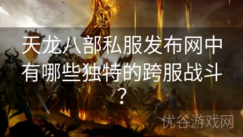 天龙八部私服发布网中有哪些独特的跨服战斗？