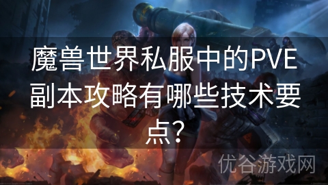 魔兽世界私服中的PVE副本攻略有哪些技术要点？