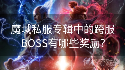 魔域私服专辑中的跨服BOSS有哪些奖励？