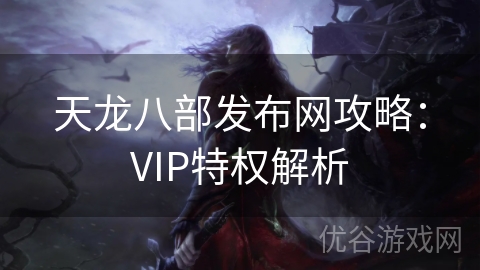 天龙八部发布网攻略：VIP特权解析