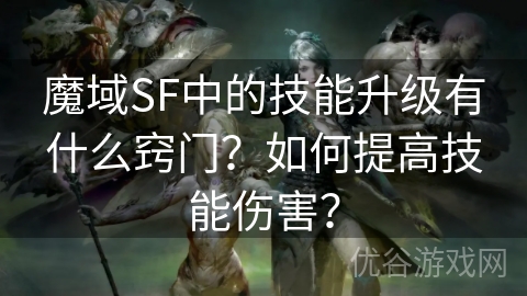 魔域SF中的技能升级有什么窍门？如何提高技能伤害？