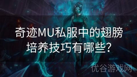 奇迹MU私服中的翅膀培养技巧有哪些？