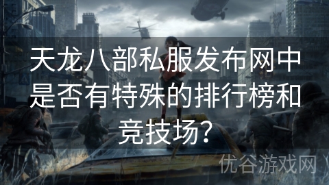 天龙八部私服发布网中是否有特殊的排行榜和竞技场？