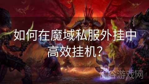 如何在魔域私服外挂中高效挂机？