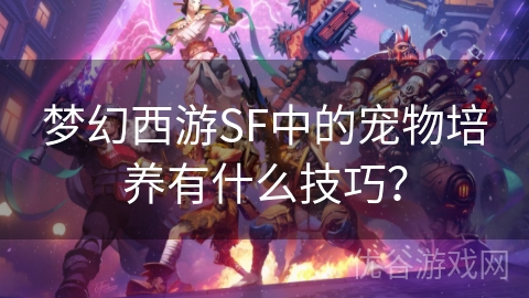 梦幻西游SF中的宠物培养有什么技巧？