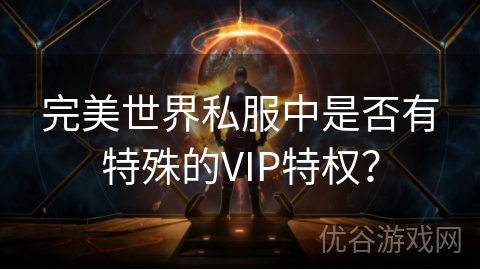 完美世界私服中是否有特殊的VIP特权？