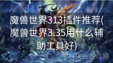 魔兽世界313插件推荐(魔兽世界3.35用什么辅助工具好)