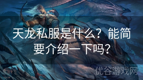 天龙私服是什么？能简要介绍一下吗？