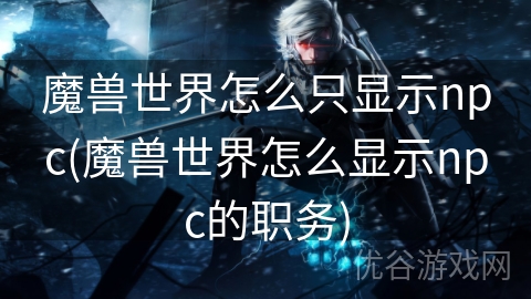 魔兽世界怎么只显示npc(魔兽世界怎么显示npc的职务)