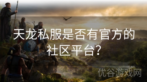 天龙私服是否有官方的社区平台？