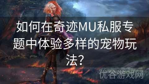 如何在奇迹MU私服专题中体验多样的宠物玩法？