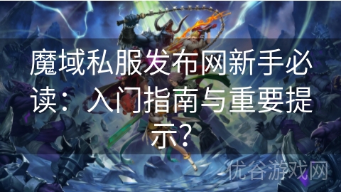 魔域私服发布网新手必读：入门指南与重要提示？