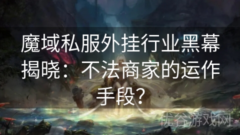 魔域私服外挂行业黑幕揭晓：不法商家的运作手段？