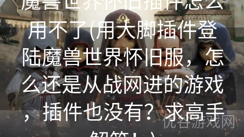 魔兽世界怀旧插件怎么用不了(用大脚插件登陆魔兽世界怀旧服，怎么还是从战网进的游戏，插件也没有？求高手解答！)