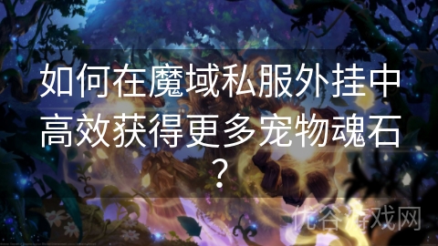 如何在魔域私服外挂中高效获得更多宠物魂石？