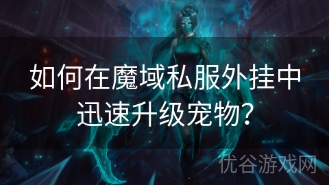 如何在魔域私服外挂中迅速升级宠物？