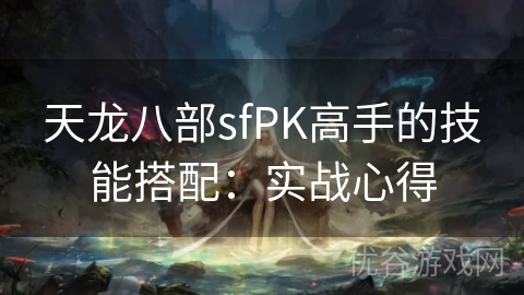 天龙八部sfPK高手的技能搭配：实战心得