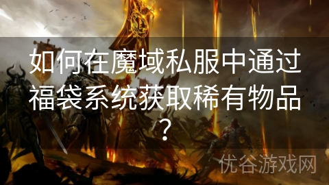 如何在魔域私服中通过福袋系统获取稀有物品？