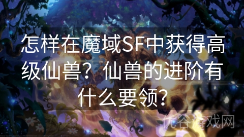 怎样在魔域SF中获得高级仙兽？仙兽的进阶有什么要领？