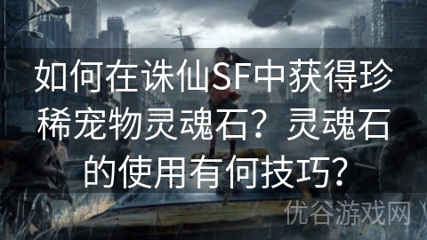 如何在诛仙SF中获得珍稀宠物灵魂石？灵魂石的使用有何技巧？