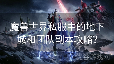 魔兽世界私服中的地下城和团队副本攻略？