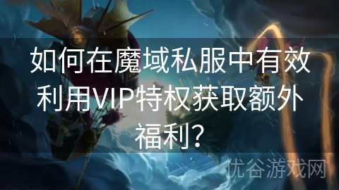 如何在魔域私服中有效利用VIP特权获取额外福利？