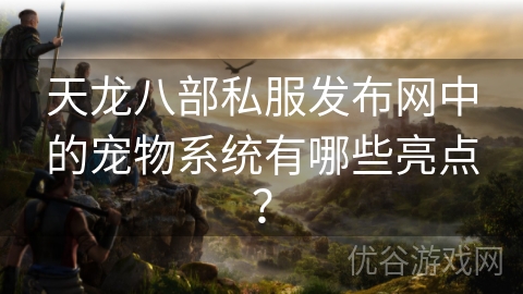 天龙八部私服发布网中的宠物系统有哪些亮点？