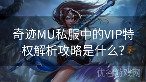 奇迹MU私服中的VIP特权解析攻略是什么？