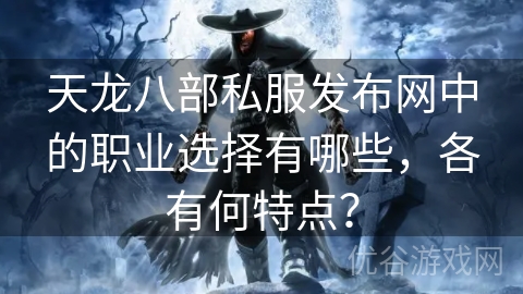 天龙八部私服发布网中的职业选择有哪些，各有何特点？